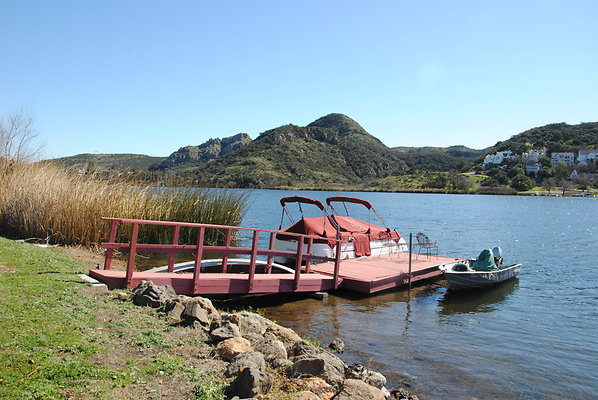 DSC 0100