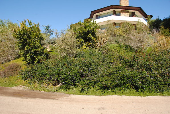 DSC 0077