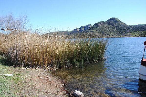 DSC 0079