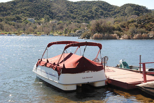 DSC 0071