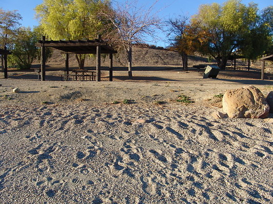 Pyra.Lake.Spanish.Point.28