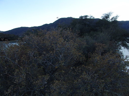 Pyra.Lake.Vaquero.Beach.41