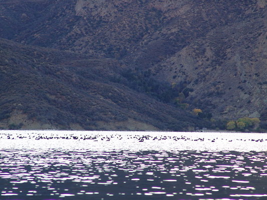 Pyra.Lake.Vaquero.Beach.16