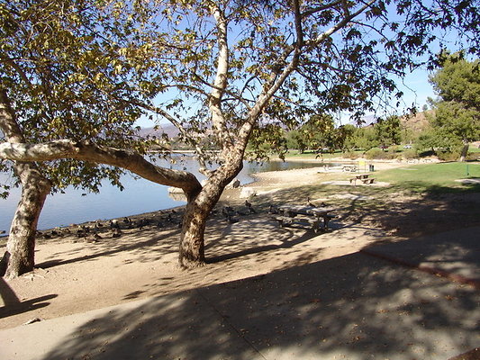 Bonellie.Lake.East.Shore.35