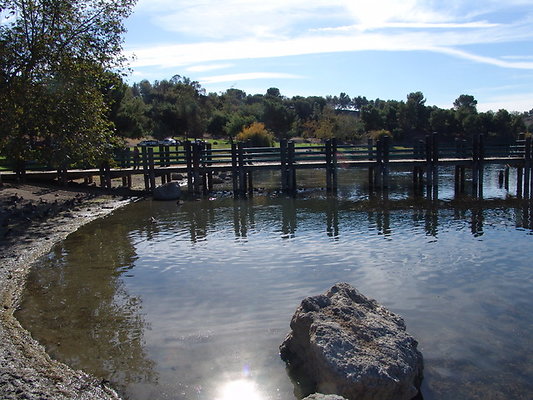 Bonellie.Lake.East.Shore.25