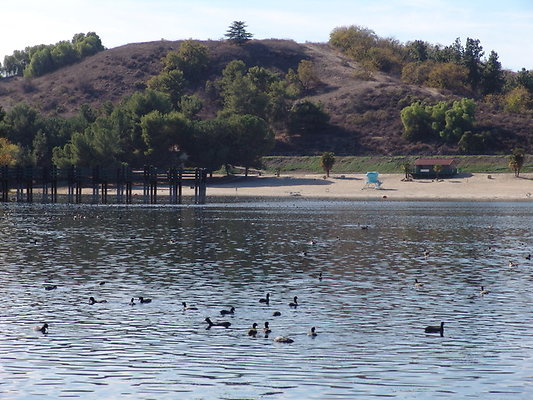 Bonellie.Lake.East.Shore.48