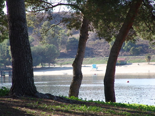Bonellie.Lake.East.Shore.16
