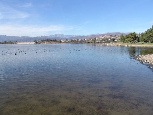 Bonellie.Lake.East.Shore.27