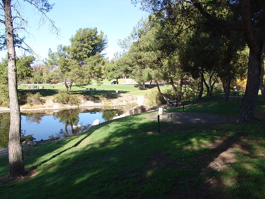Bonellie.Lake.East.Shore.10