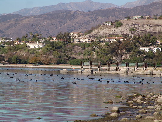 Bonellie.Lake.East.Shore.30