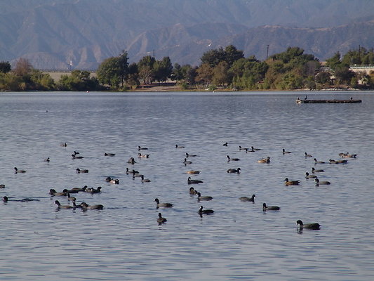 Bonellie.Lake.East.Shore.47