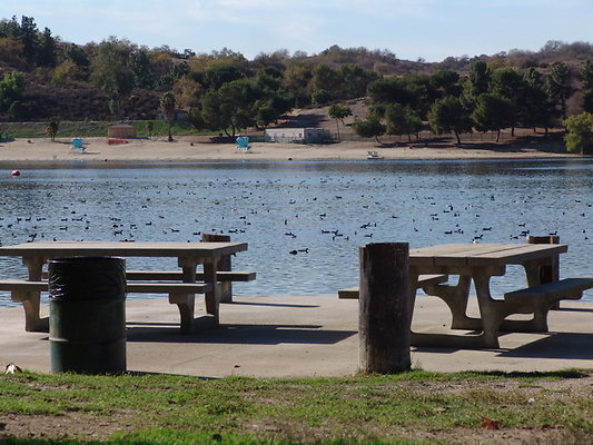 Bonellie.Lake.East.Shore.22