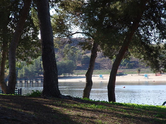 Bonellie.Lake.East.Shore.15