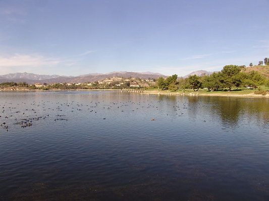 Bonellie.Lake.East.Shore.43