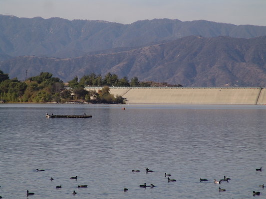 Bonellie.Lake.East.Shore.46
