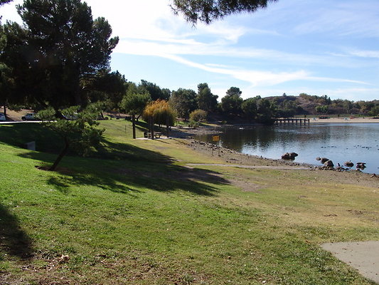 Bonellie.Lake.East.Shore.33