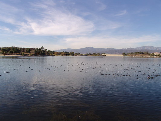 Bonellie.Lake.East.Shore.42