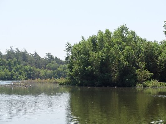 Bonnelli.Lake.Addl.10 Bonnelli.Lake.Addl.10