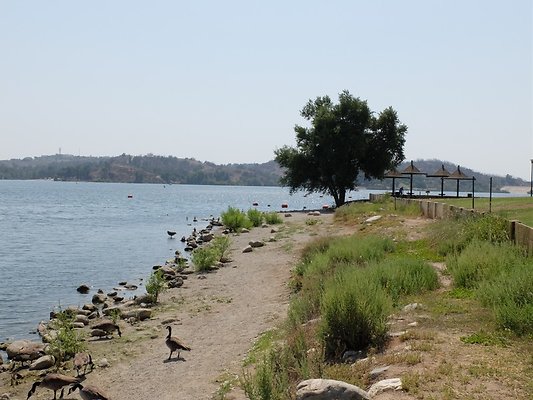 Bonnelli.Lake.Addl.53 Bonnelli.Lake.Addl.53