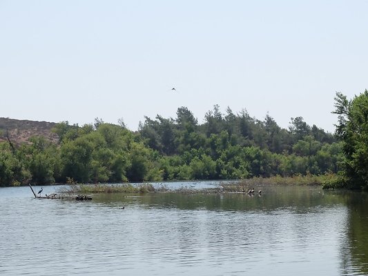 Bonnelli.Lake.Addl.09 Bonnelli.Lake.Addl.09