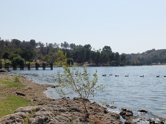 Bonnelli.Lake.Addl.188