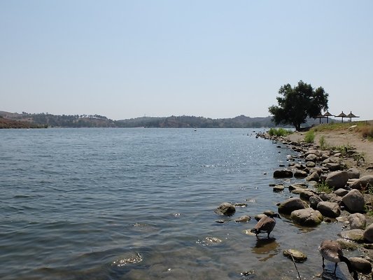 Bonnelli.Lake.Addl.64