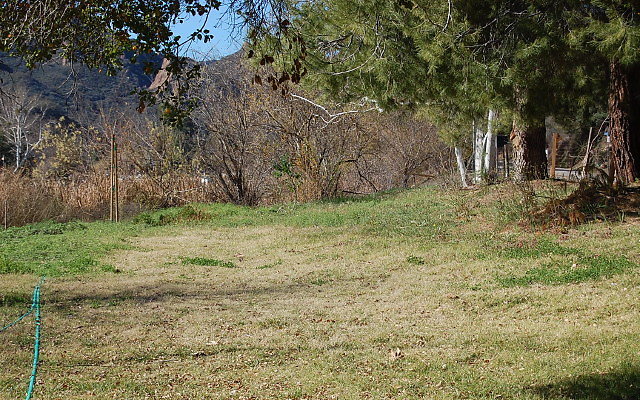 DSC 0187