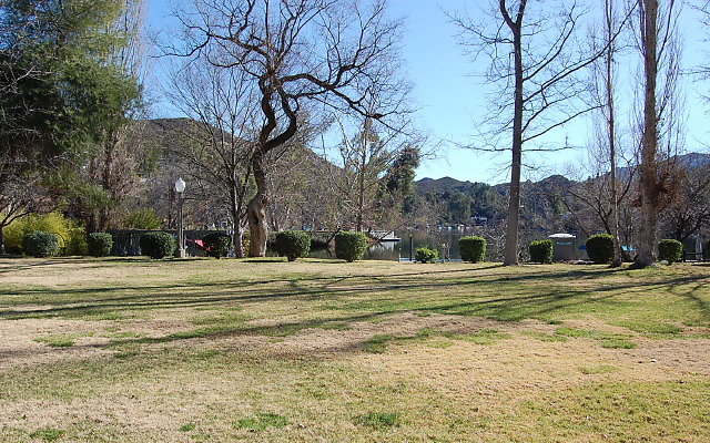 DSC 0205