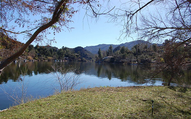 DSC 0156