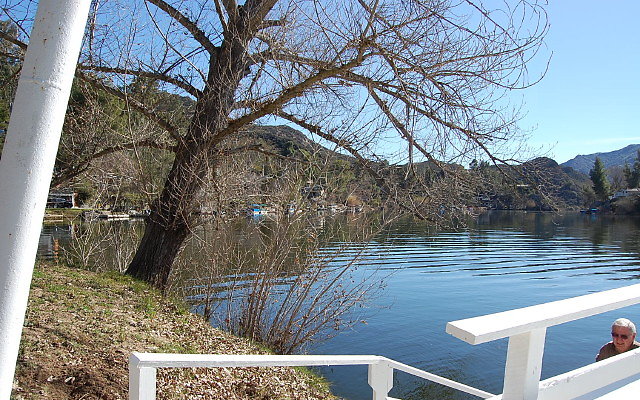 DSC 0137