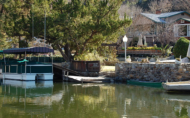 DSC 0098