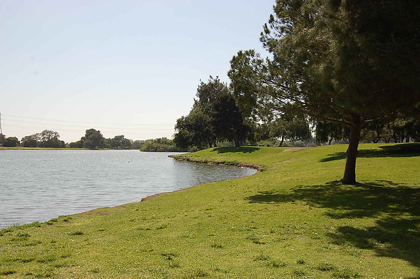 DSC 0092
