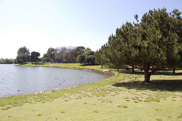 DSC 0081