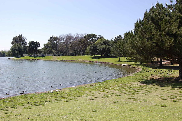 DSC 0078