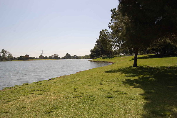 DSC 0093