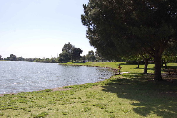 DSC 0088