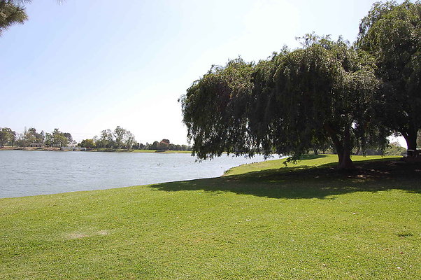 DSC 0096