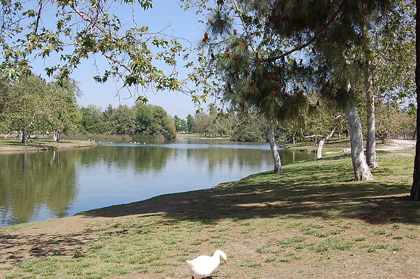 DSC 0054