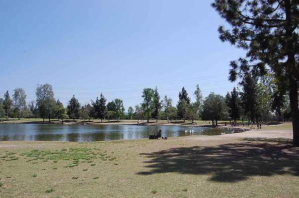 DSC 0033