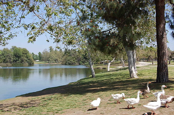 DSC 0052