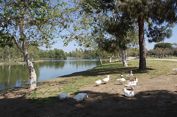 DSC 0051