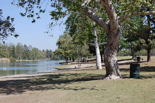 DSC 0038