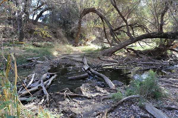 Malibu Creek State Park-6D-Nov2017-219