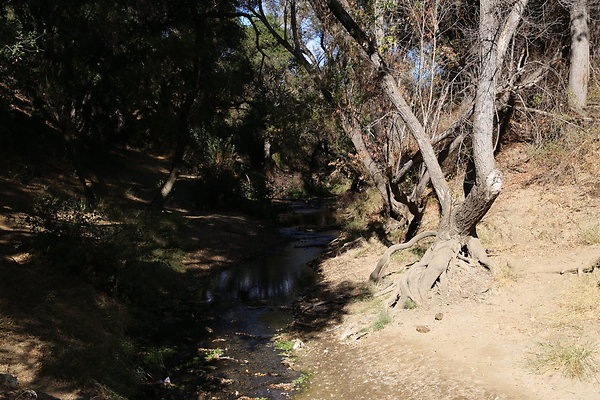 Malibu Creek State Park-6D-Nov2017-070