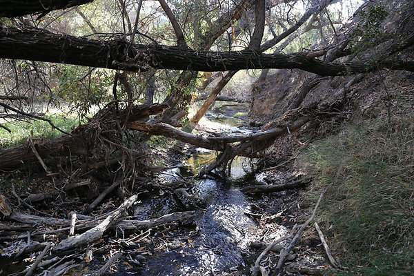 Malibu Creek State Park-6D-Nov2017-221