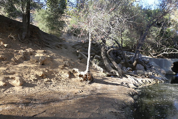 Malibu Creek State Park-6D-Nov2017-214