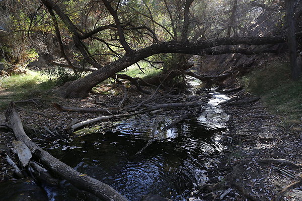 Malibu Creek State Park-6D-Nov2017-220