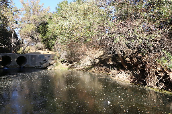 Malibu Creek State Park-6D-Nov2017-216