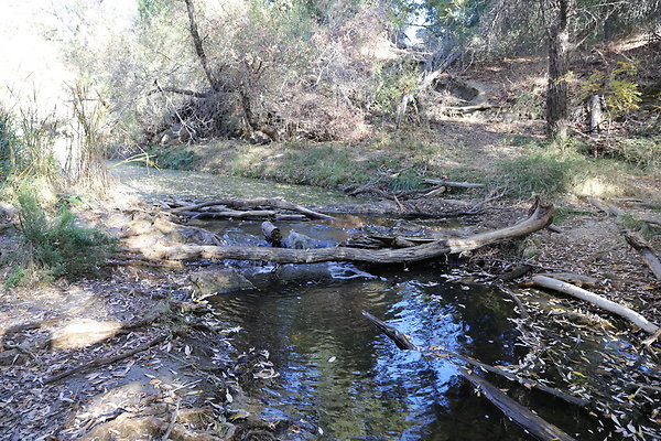 Malibu Creek State Park-6D-Nov2017-222