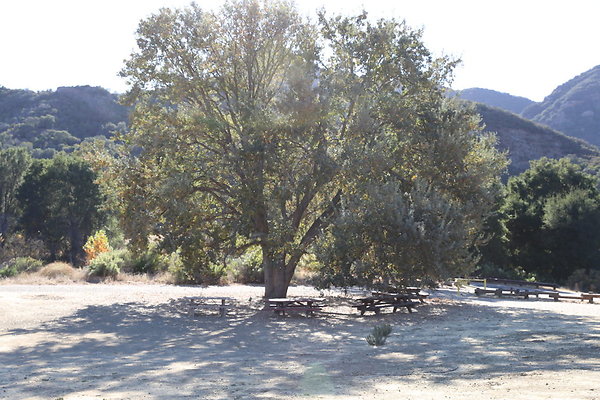 Malibu Creek State Park-6D-Nov2017-058
